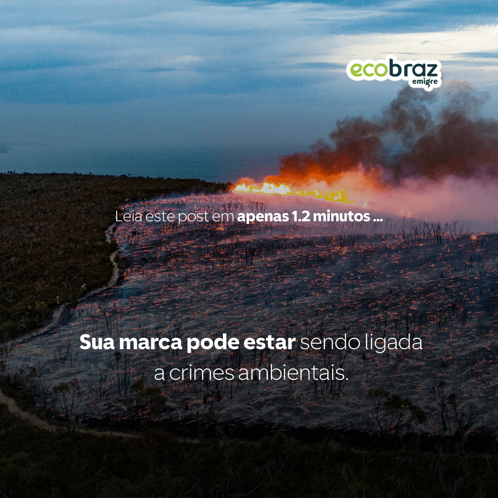 Sua marca pode estar sendo ligada a crimes ambientais