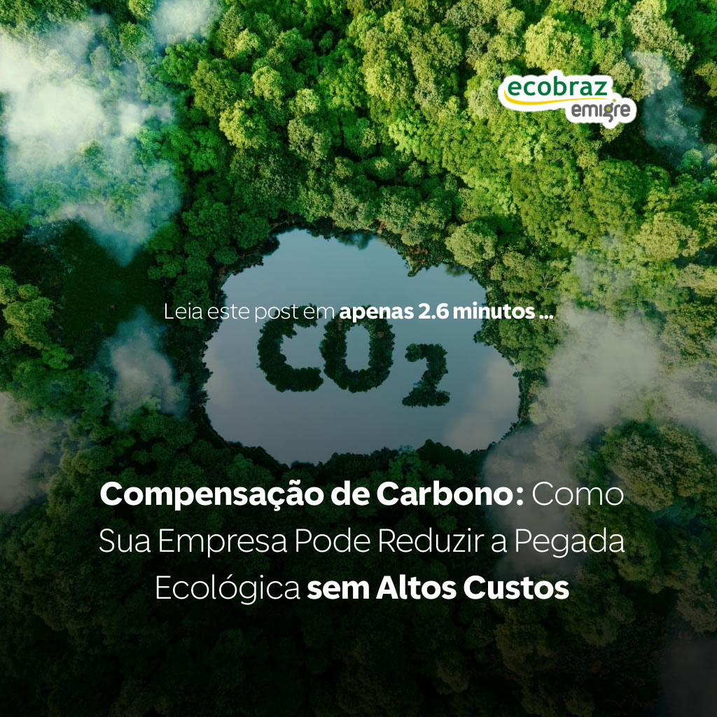 Compensação de Carbono: Como Sua Empresa Pode Reduzir a Pegada Ecológica sem Altos Custos