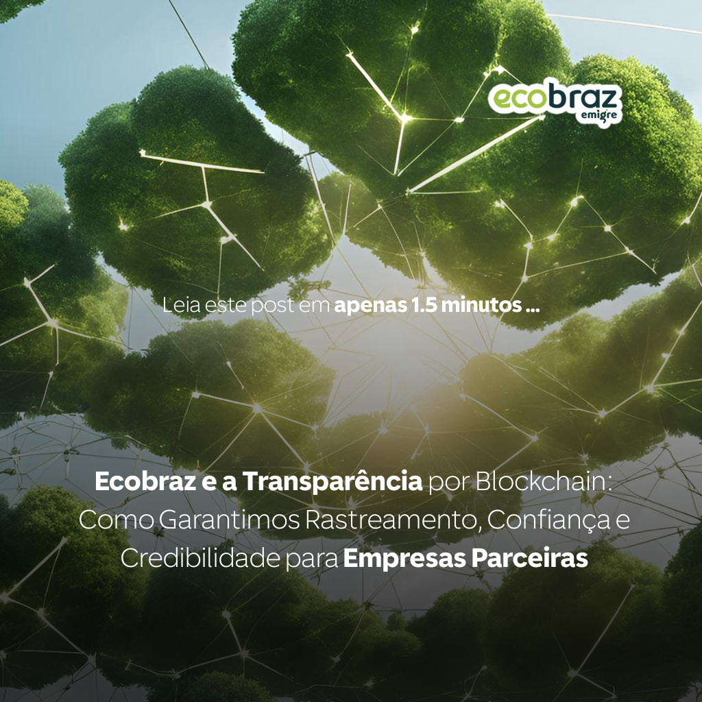 Ecobraz e a Transparência por Blockchain: Como Garantimos Rastreamento, Confiança e Credibilidade para Empresas Parceiras