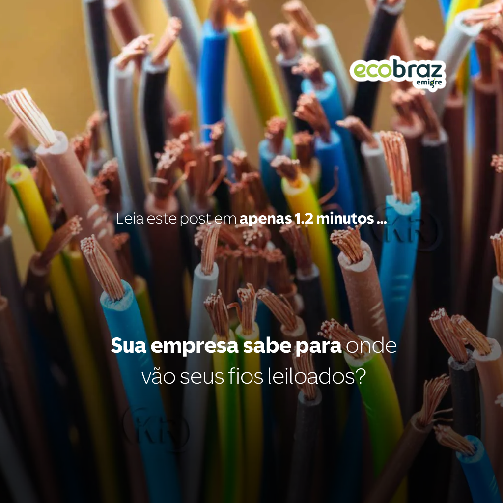 Sua empresa sabe para onde vão seus fios leiloados?