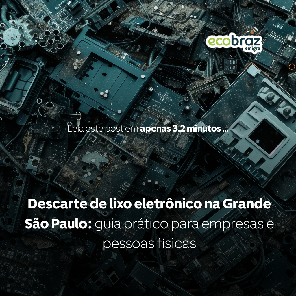 Electronic Waste Disposal in Greater São Paulo: a Practical Guide for Businesses and Individuals