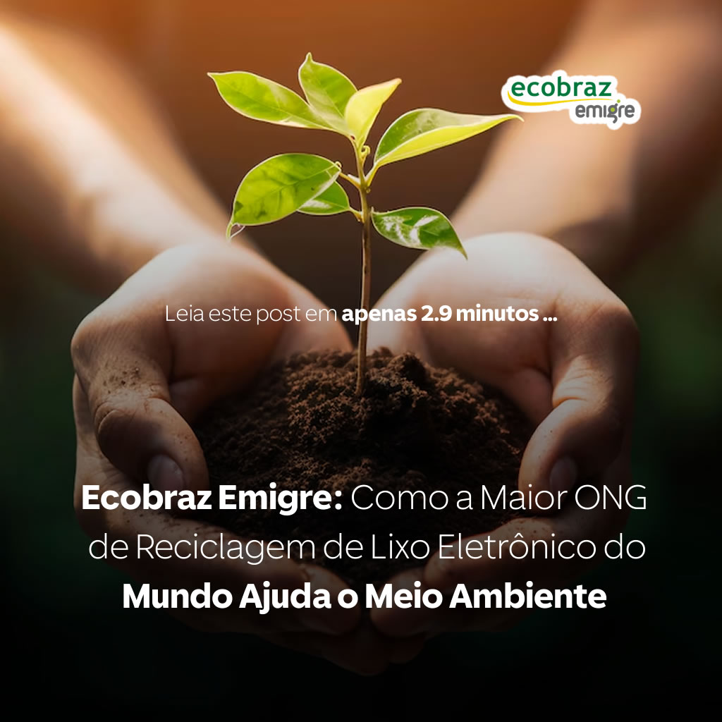 Ecobraz Emigre: Cómo la ONG de Reciclaje de Residuos Electrónicos Más Grande del Mundo Ayuda al Medio Ambiente