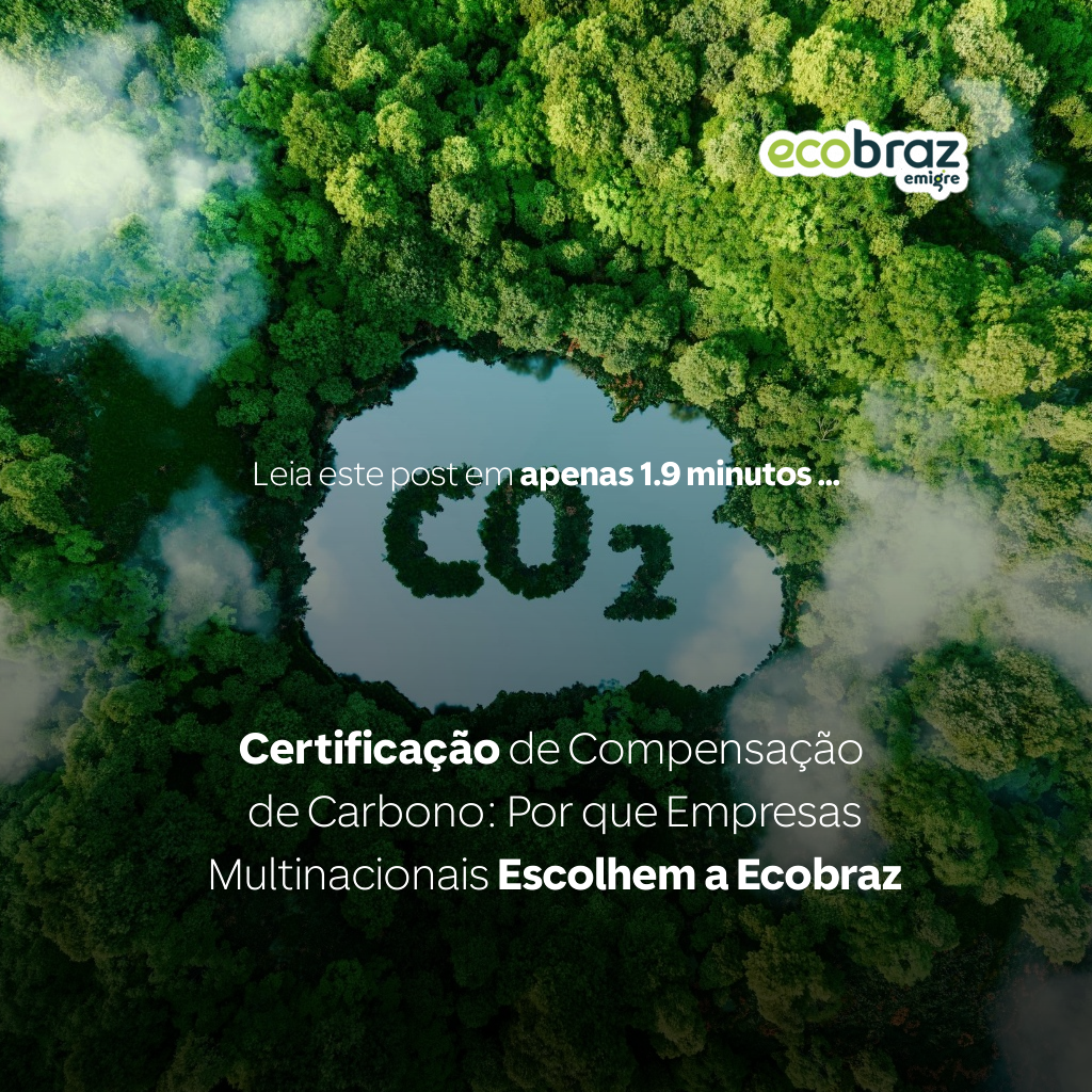 Certificação de Compensação de Carbono: Por que Empresas Multinacionais Escolhem a Ecobraz