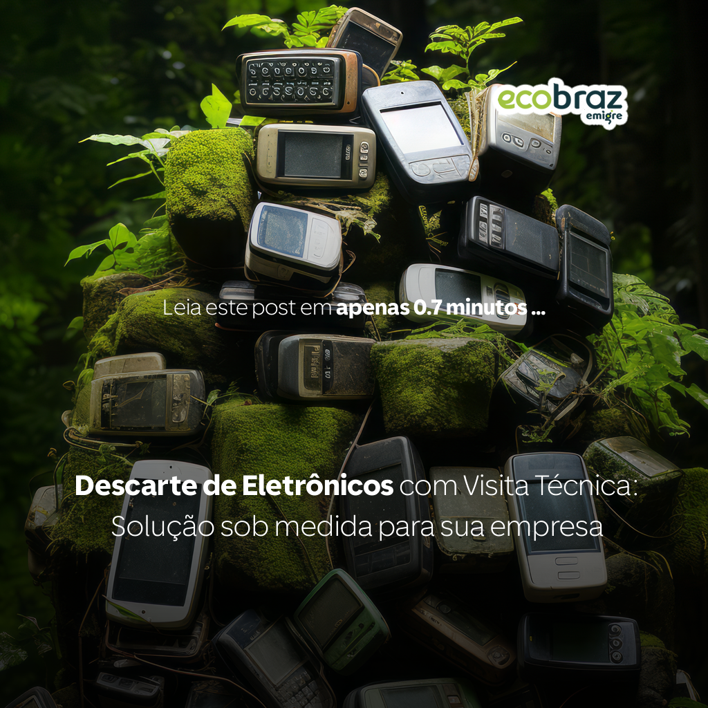 Descarte de Eletrônicos com Visita Técnica: Solução sob medida para sua empresa